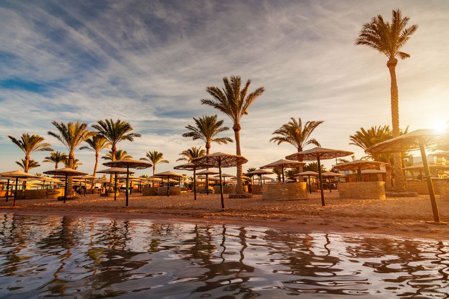 Marsa Alam Things To Do/Holidays